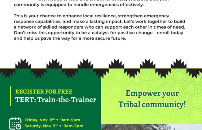 Train the trainer