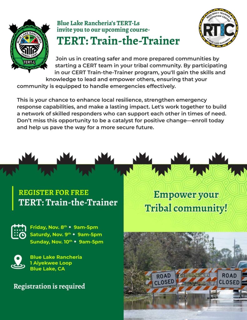 Train the trainer