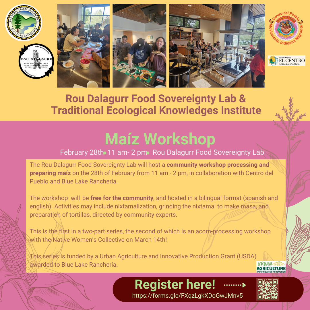 Maiz Workshop