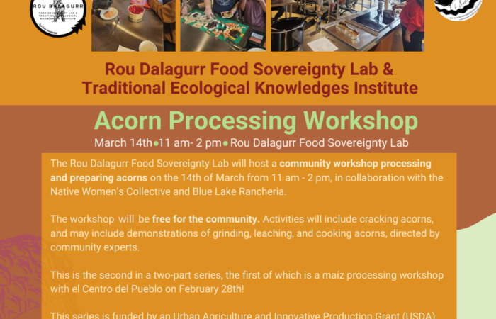 Acorn Workshop